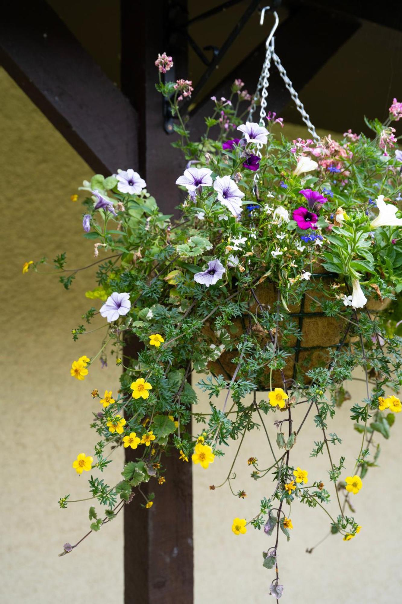 Cricklade House Hotel, Sure Hotel Collection By Best Western Εξωτερικό φωτογραφία